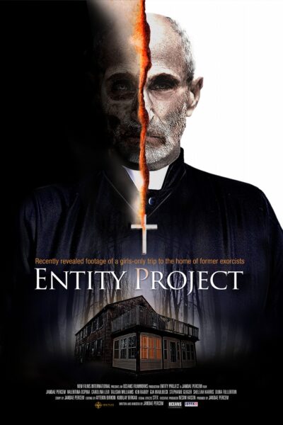 Entity Project 2